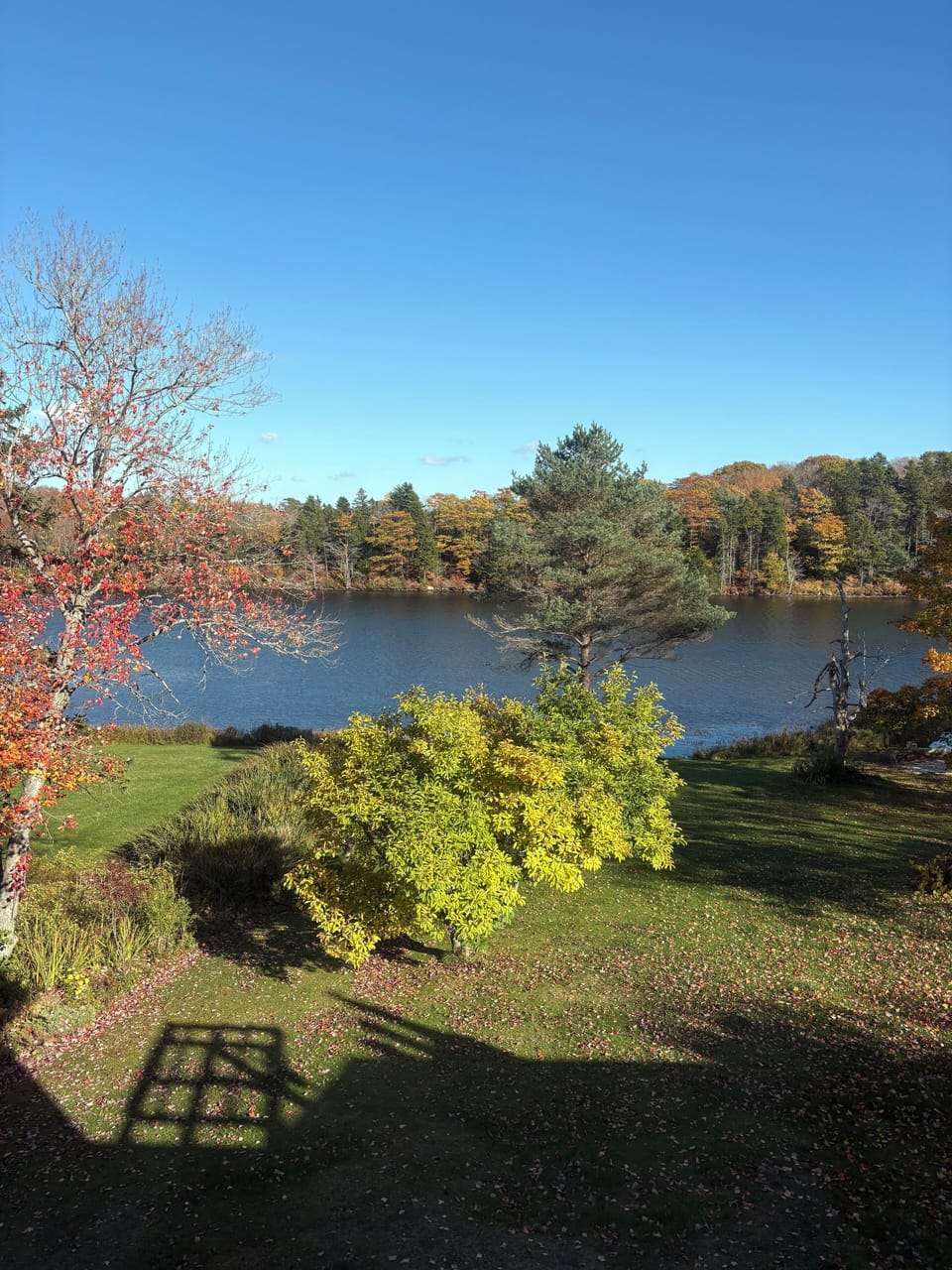 Fall season