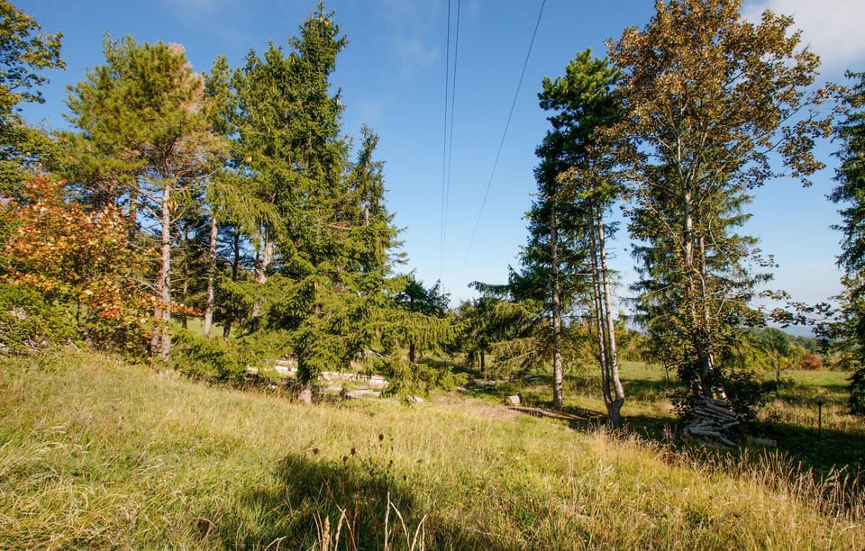 area
