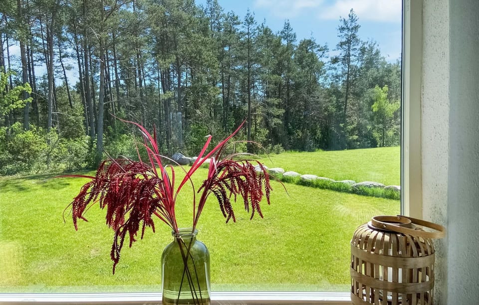 view-from-room