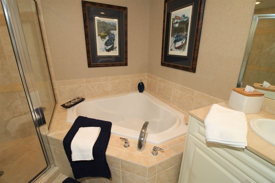 Primary Bathroom Tub