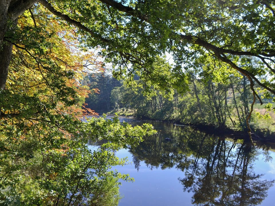 River Earn Crieff
