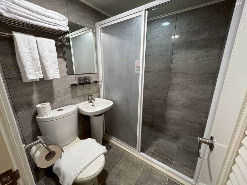 Executive Twin Room, 1 King Bed | Bathroom | Shower, hydromassage showerhead, hair dryer, slippers