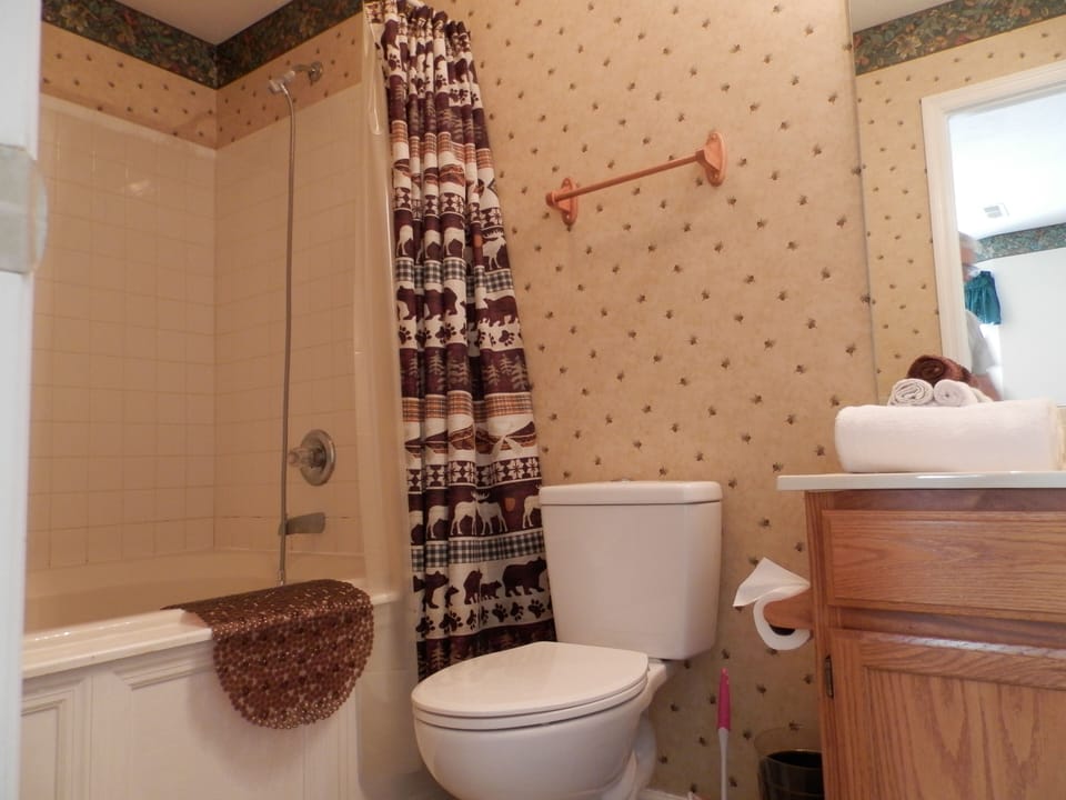 Bathroom Off Bedroom 1