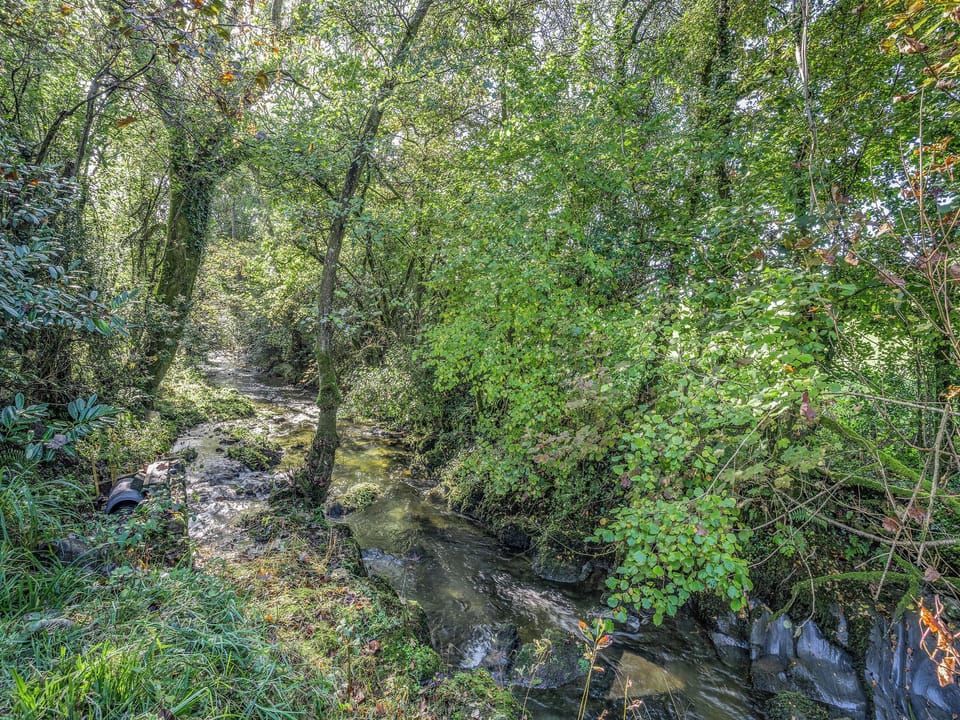 Surrounding area | The Berm - Eco Retreats, Capel Isaac