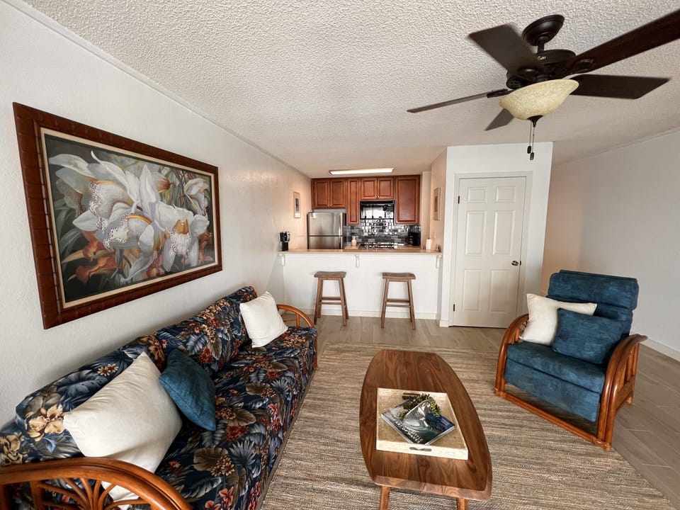 Living room with sleeper sofa