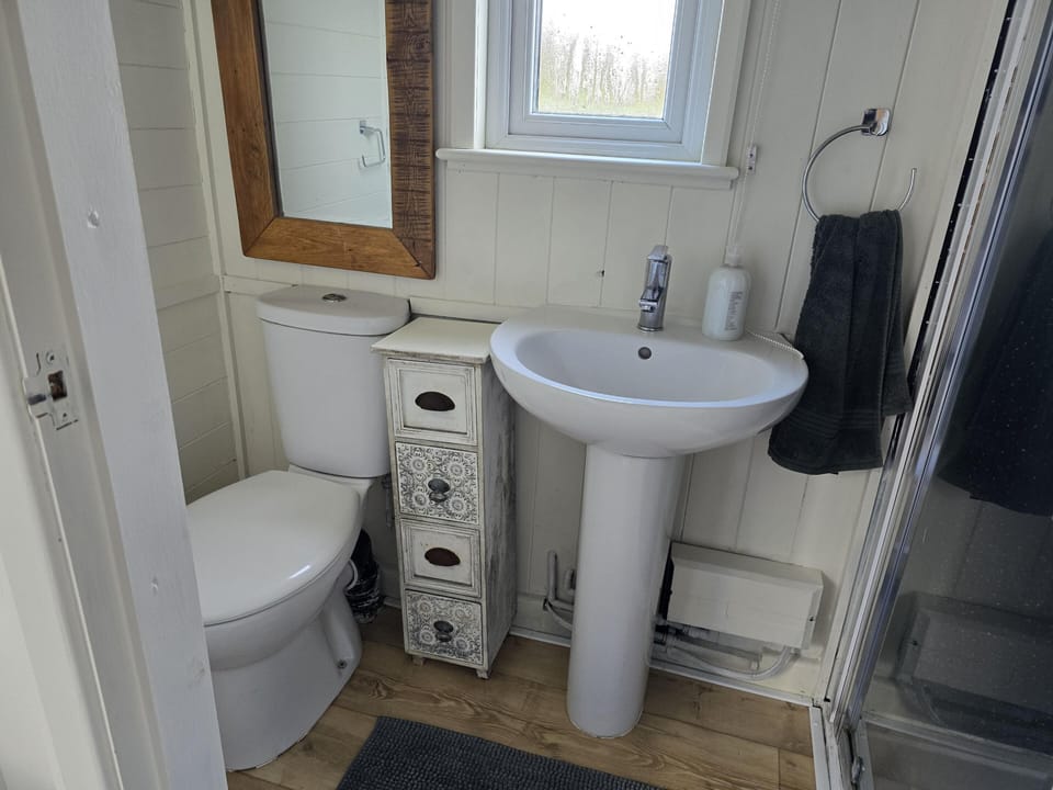Cabin | Bathroom | Shower