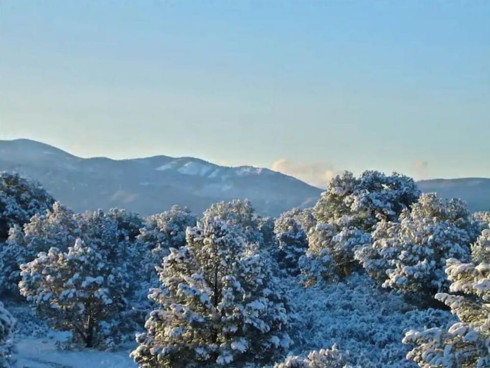 In winter it's a wonderland here!