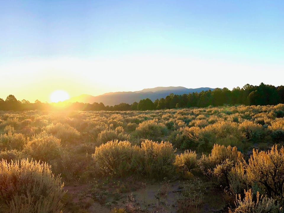 View from the trails on the property.