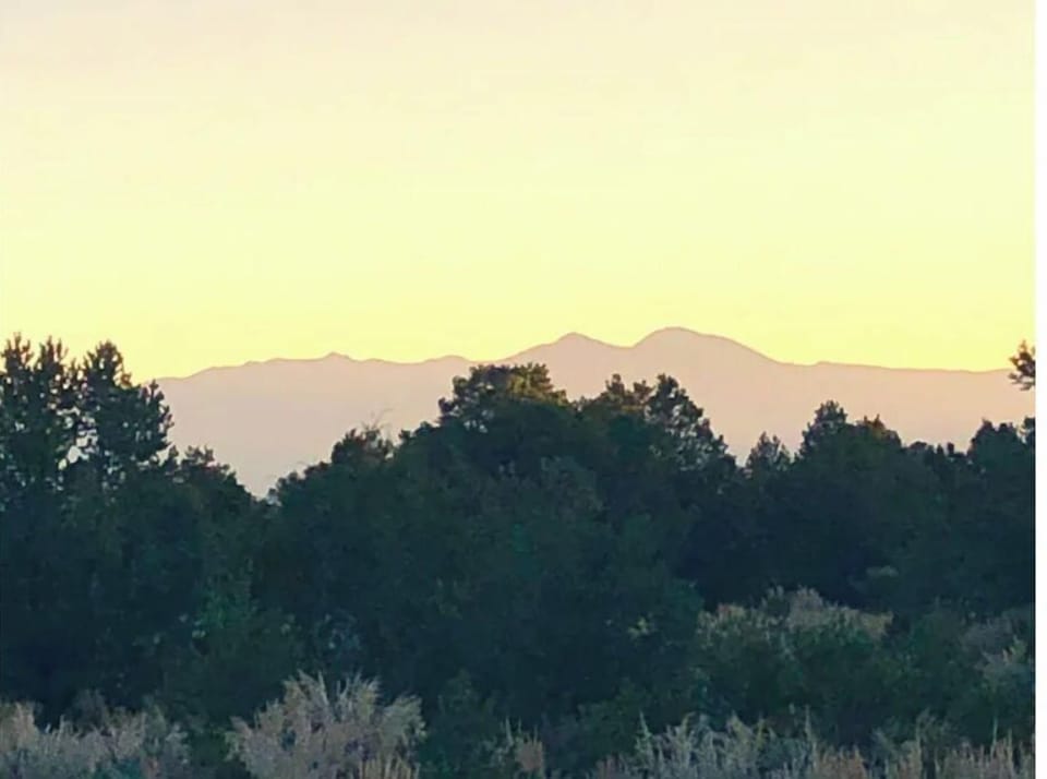 You can see Taos Mountain from one of the trails.