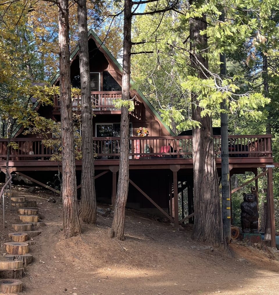 Enjoy the serene surroundings of nature and it’s beauty 🐾