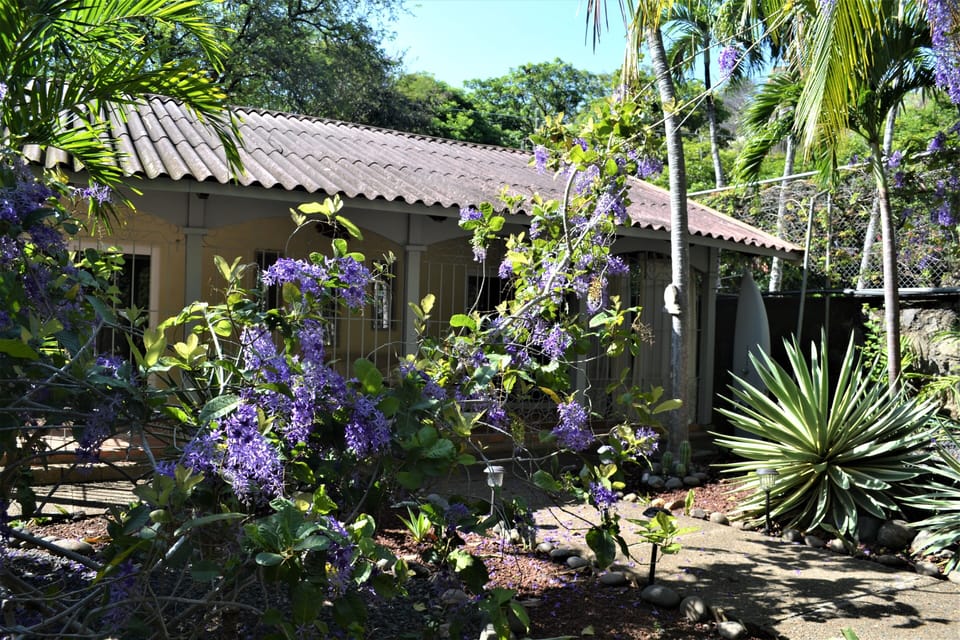 Summer blossoms frame La Casita