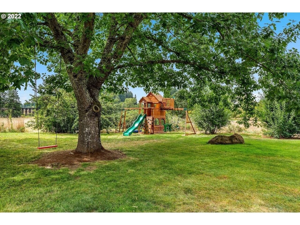 Kids play Back yard