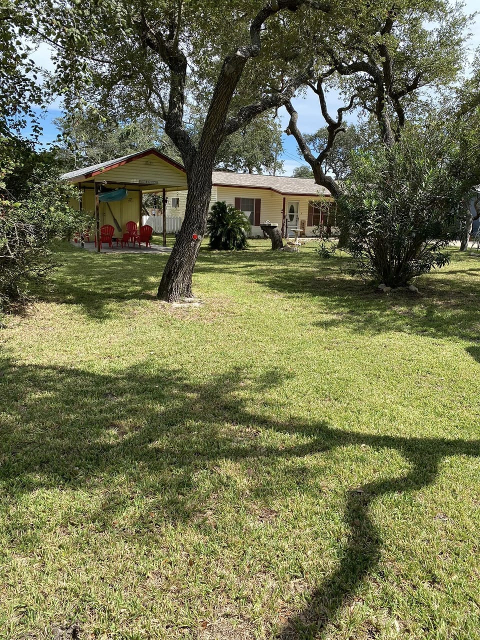 Front Yard