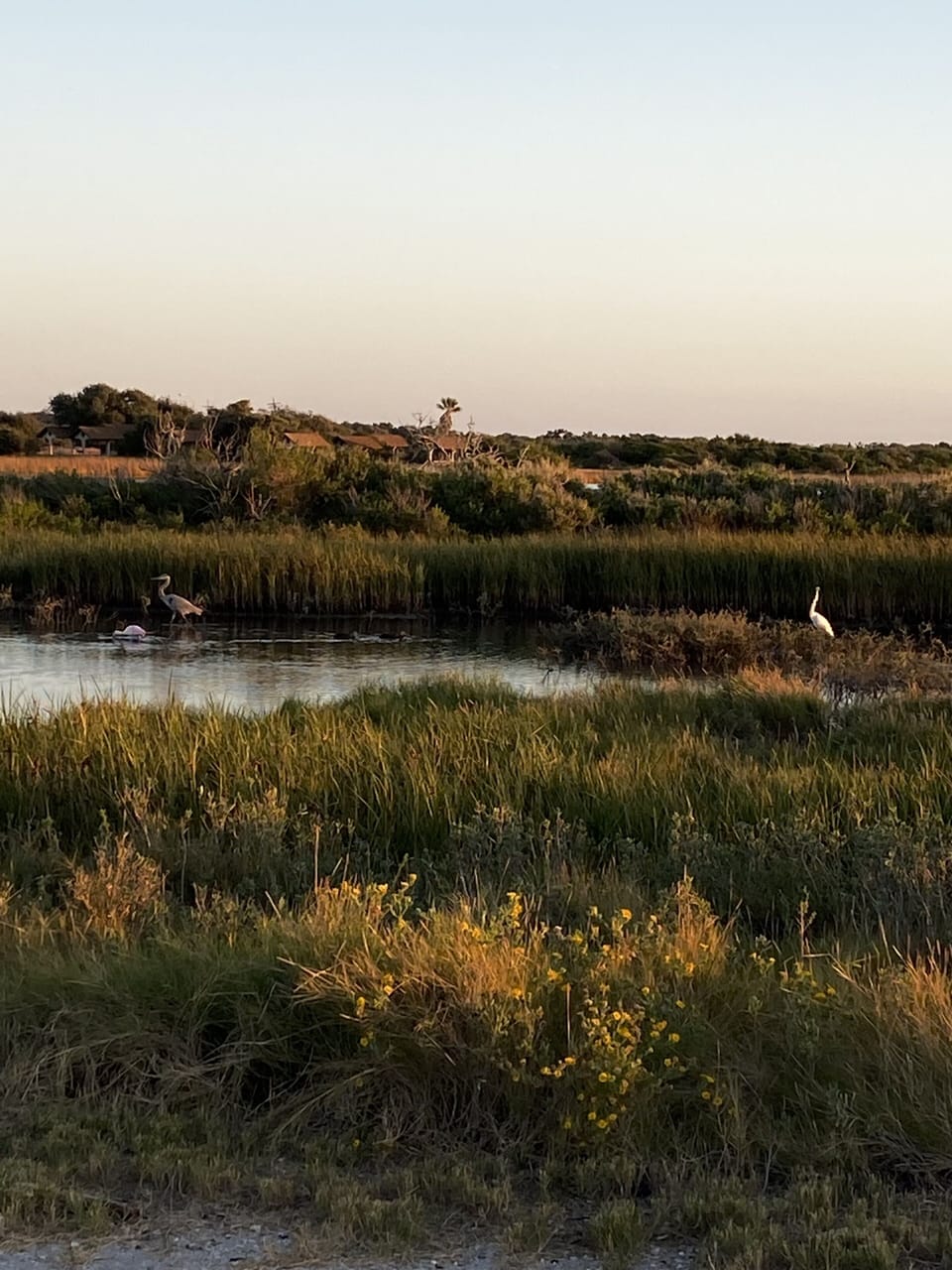 Goose Island SP. 