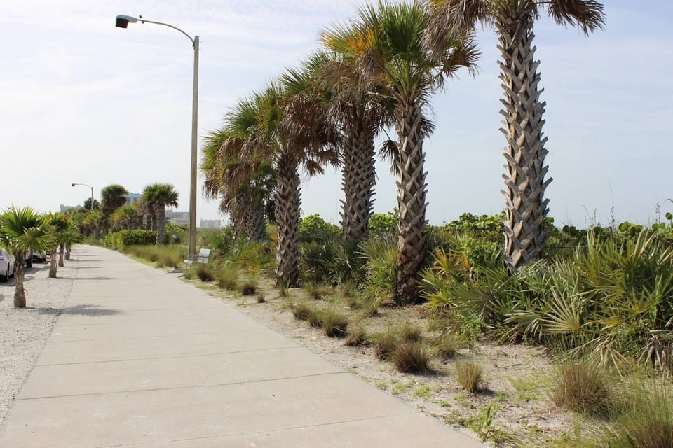 Condo (Kingston Arms On Lido Key, 1BR) | Exterior