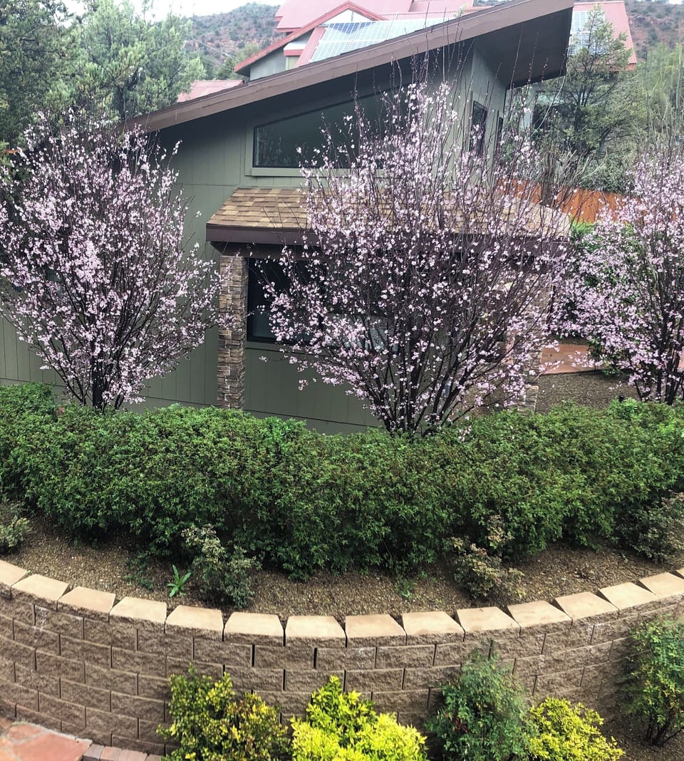Exterior: Outside view of Casita