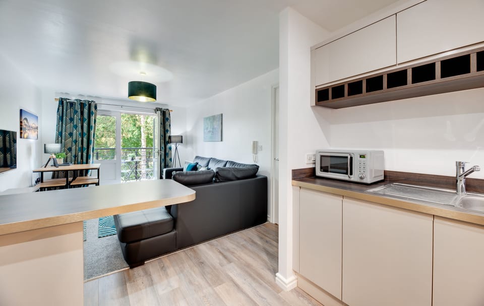 Apartment | Living area | 50-inch Smart TV with digital channels