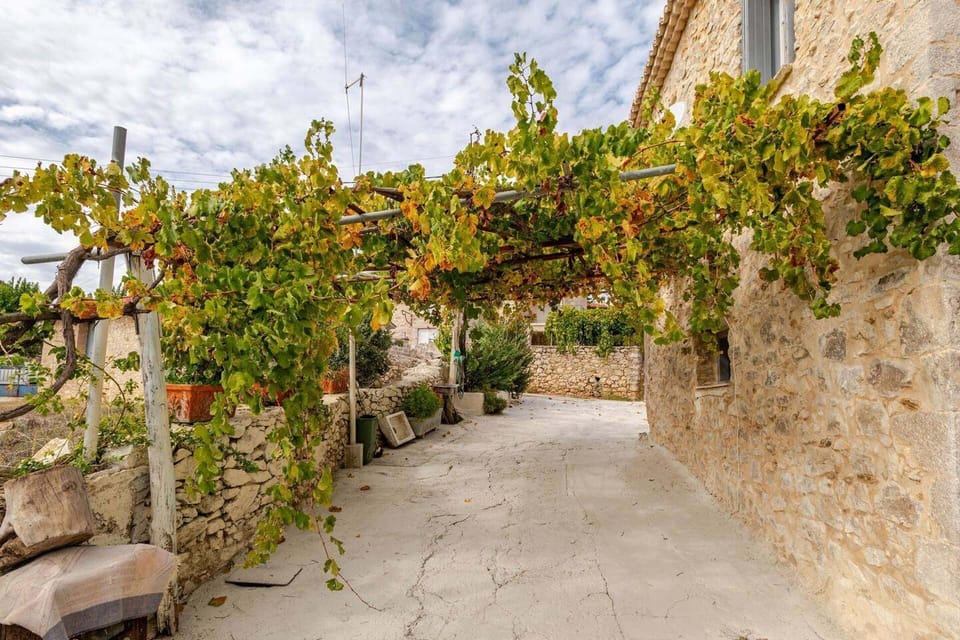 Villa | Property grounds