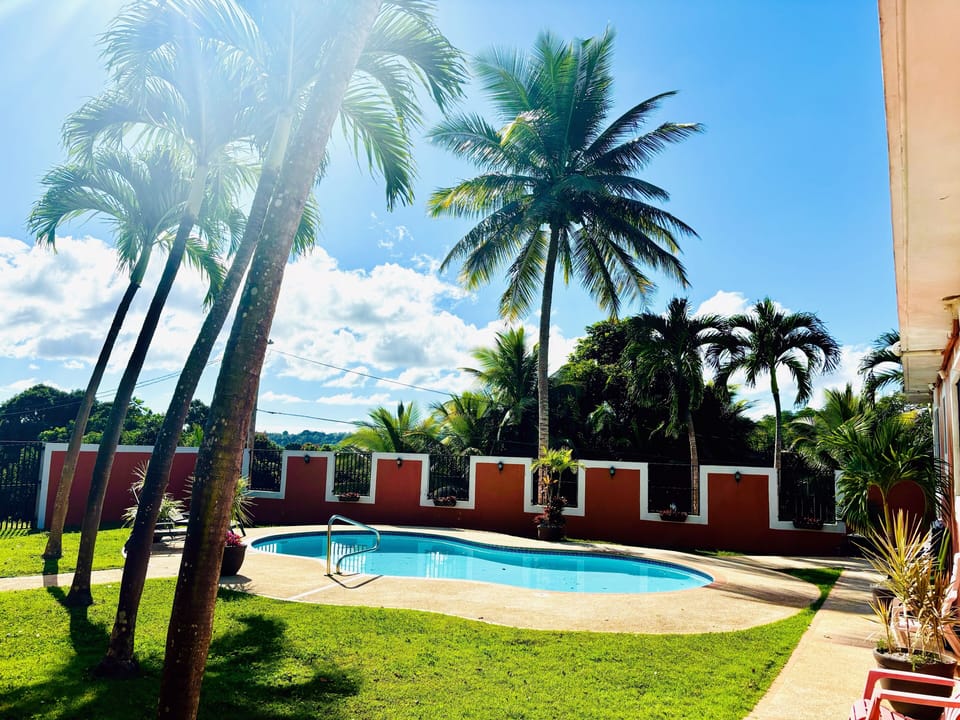 30 foot swimming pool in walled, very private courtyard.