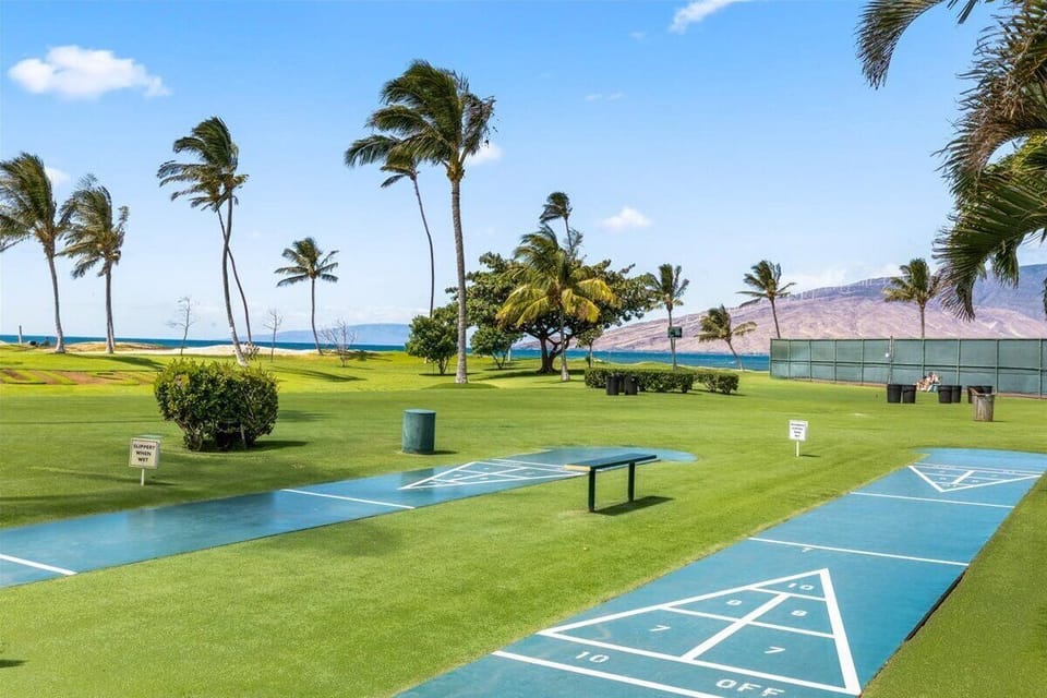 Shuffleboard