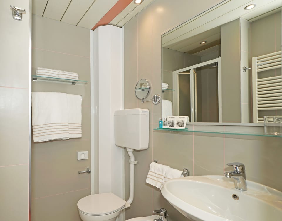 Shower, free toiletries, hair dryer, bidet