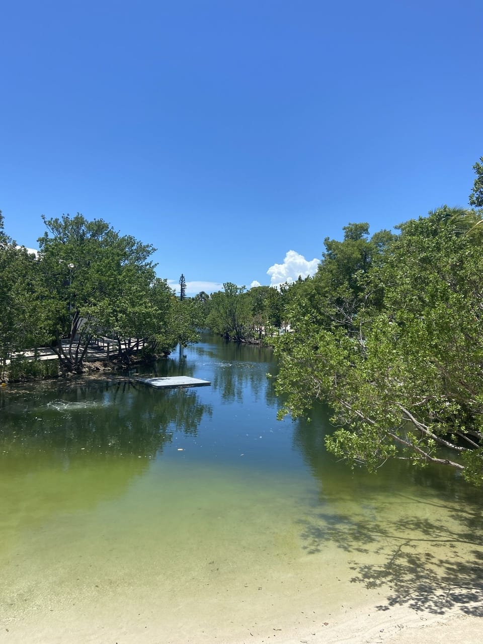 Lagoon beach