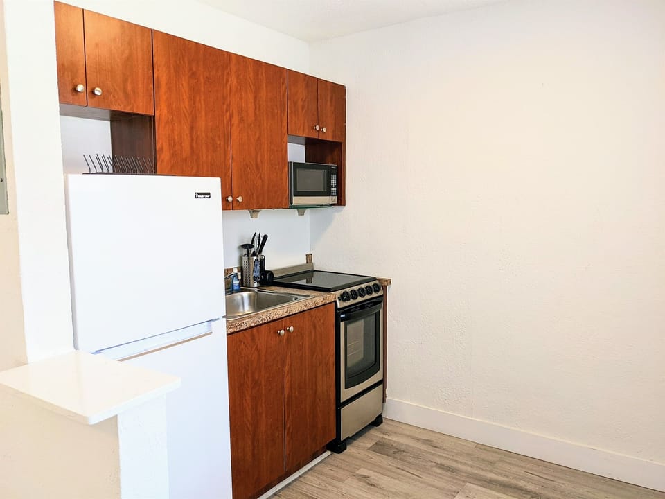 Fully stocked kitchen, stainless steel. 2m video tour link includes open cabinets to show supplies.