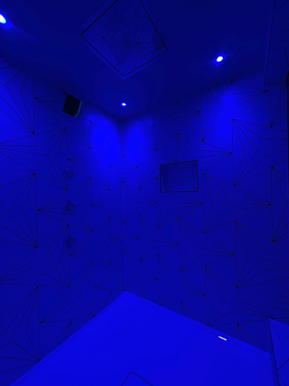 Shower, rainfall showerhead, soap, shampoo