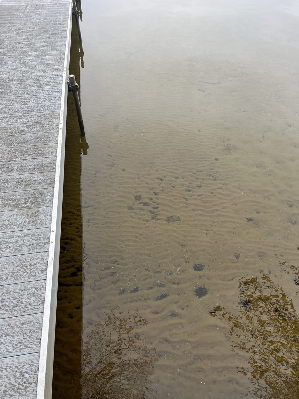 Sandy lake bottom 