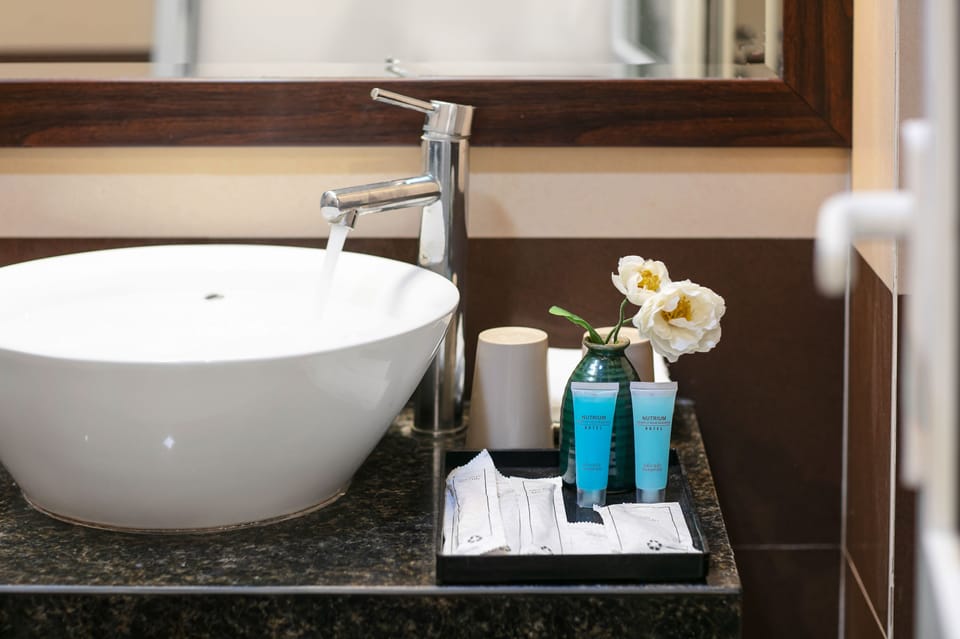 Shower, hydromassage showerhead, designer toiletries, hair dryer