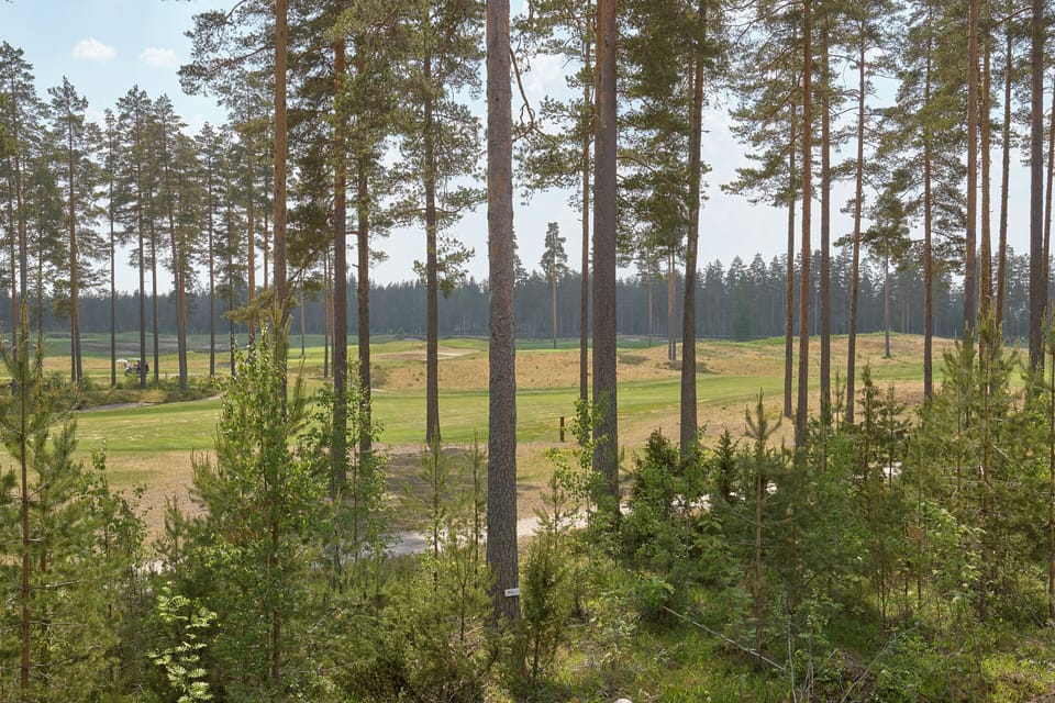 View from room