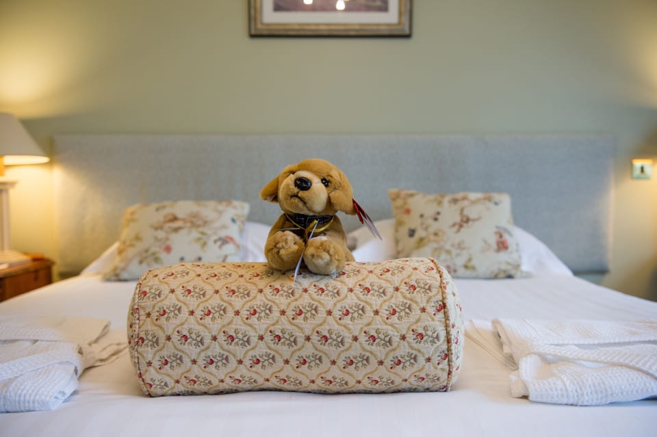 Standard Room, Lake View | Desk, iron/ironing board, free WiFi, wheelchair access