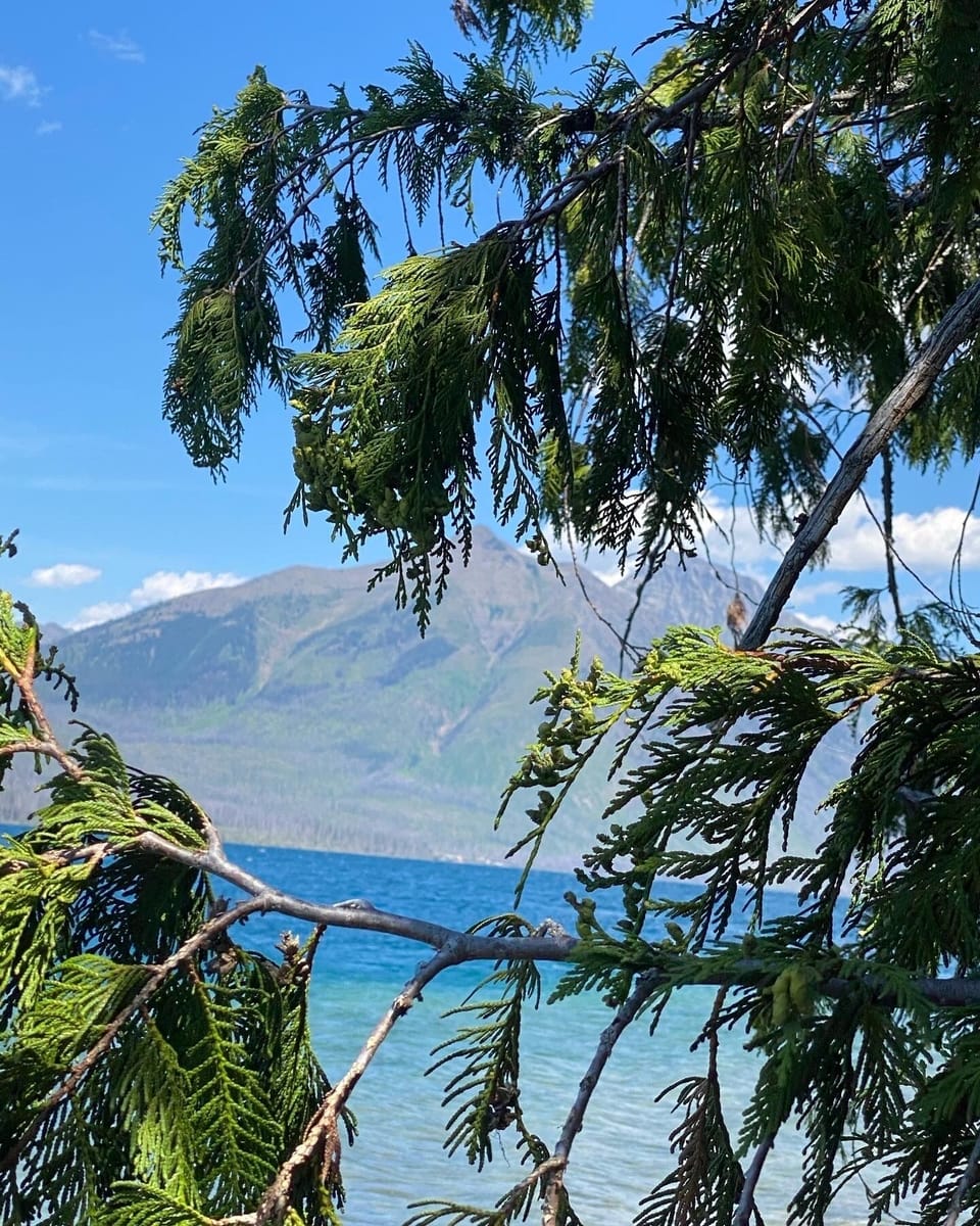 Glacier National Park 