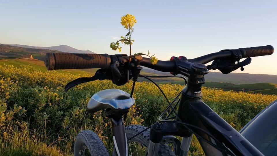 Bicycling