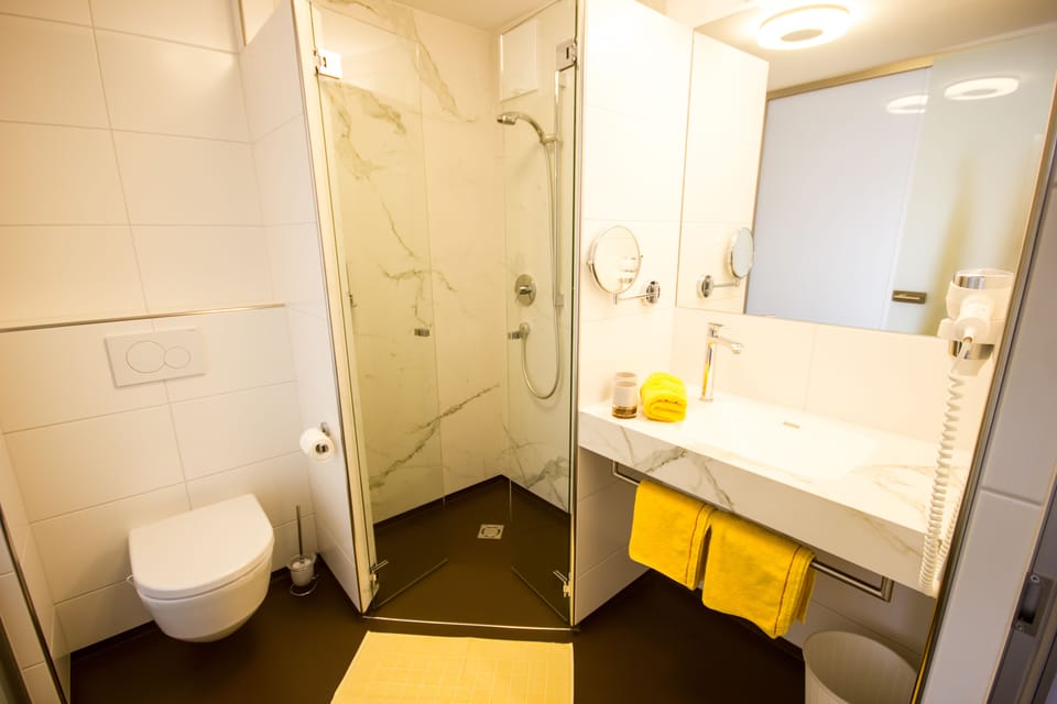 Shower, hair dryer, towels