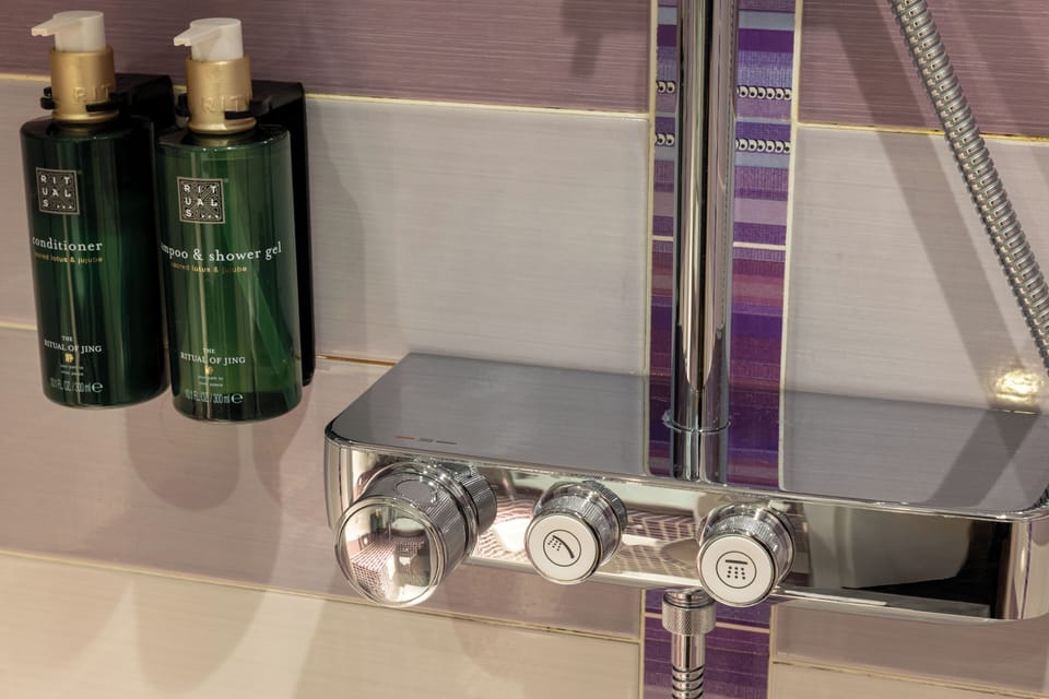 Shower, free toiletries, hair dryer, towels