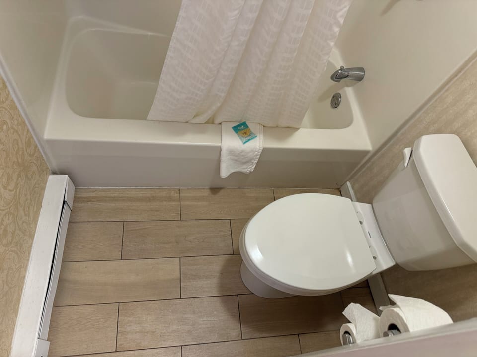 Standard Room, 2 Double Beds | Bathroom | Combined shower/tub, eco-friendly toiletries, hair dryer, towels