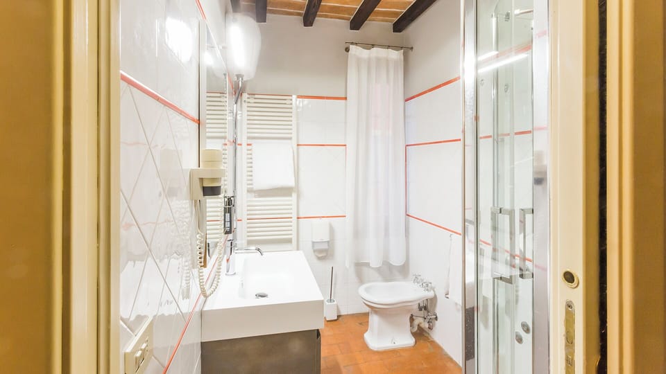 Classic Suite | Bathroom | Shower, free toiletries, hair dryer, slippers