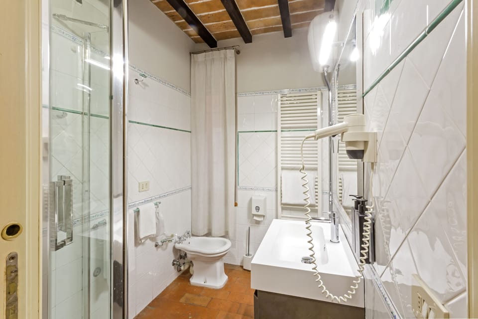 Classic Suite | Bathroom | Shower, free toiletries, hair dryer, slippers