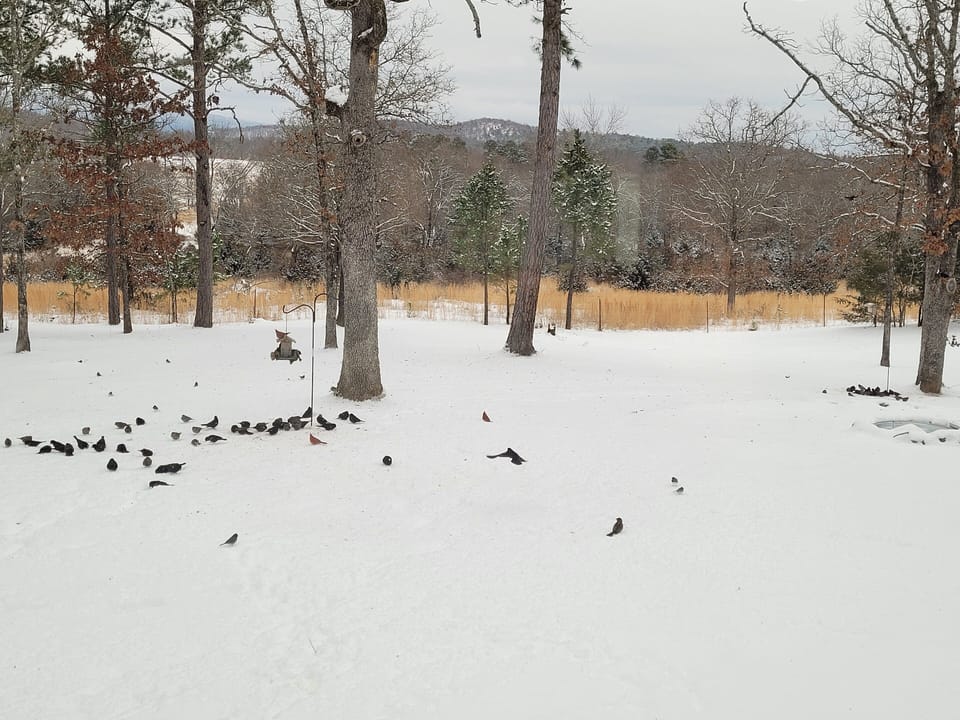 Winter view.