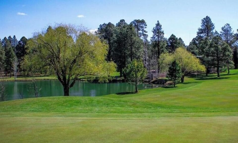 Several Golf Courses in the White Mountains to play.