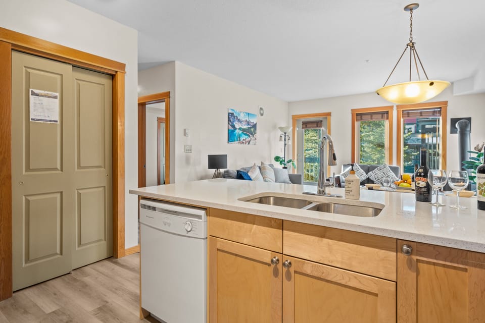 Living room and kitchen