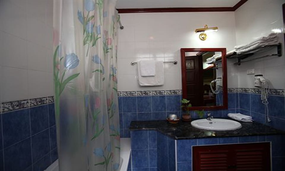 Shower, free toiletries, hair dryer, towels