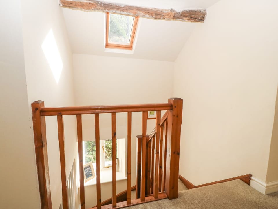 Tyn Llwyn Cottage in Wales
