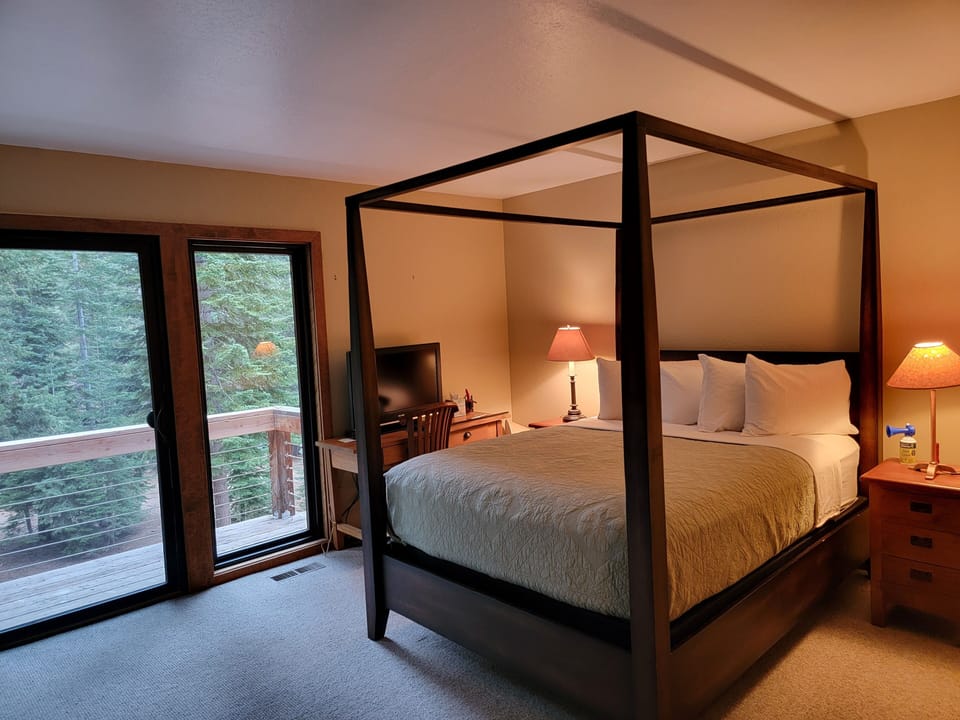 Primary bedroom with grand views of forest