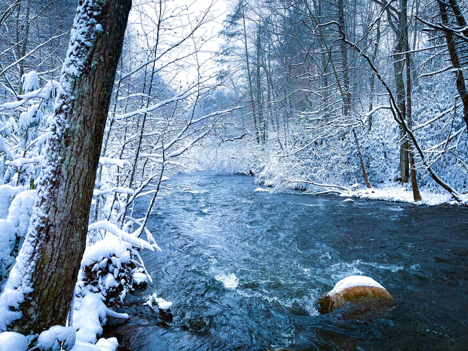Snowy river