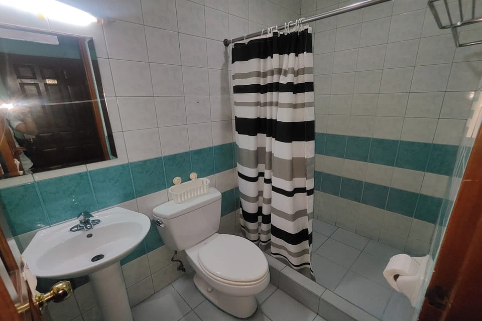 Shower, rainfall showerhead, free toiletries, towels