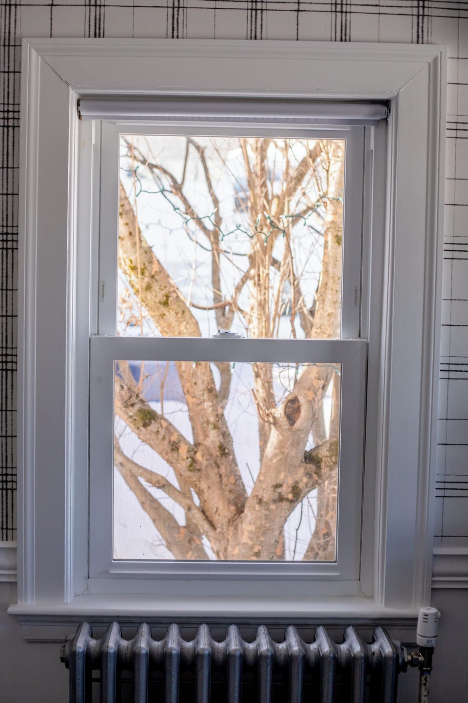 view out the window