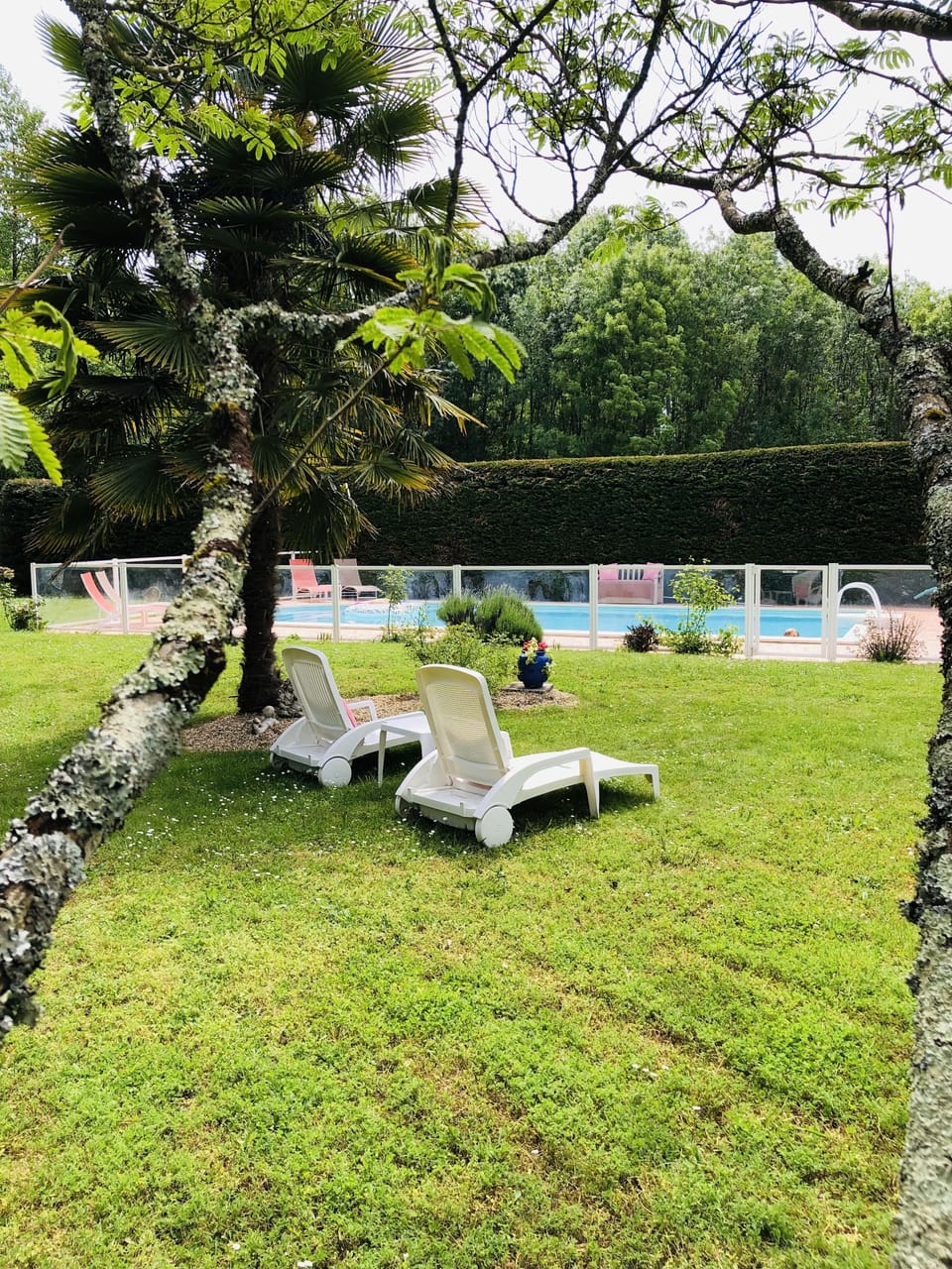 Views of the pool