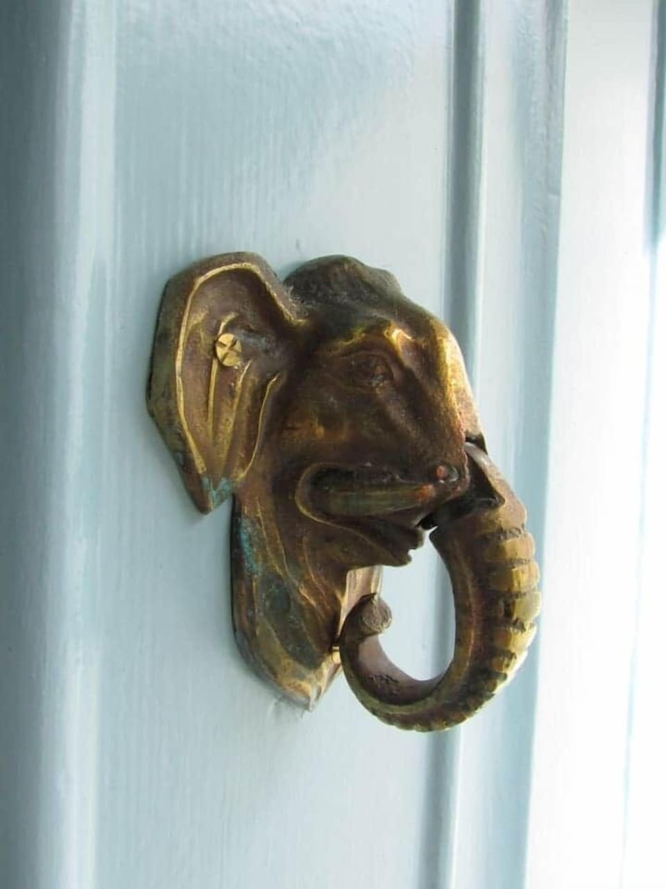 Your Front Door has an Elephant knocker.